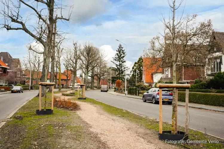 Beter leefklimaat in Venlo door vernieuwd boombeheer